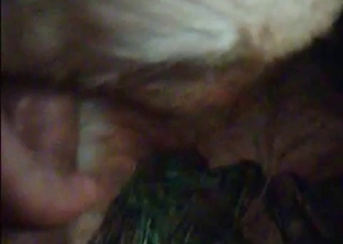 Dog impaled so sweet
