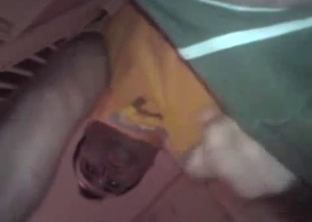 Sex loving dog licks my dick