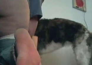 Fat master slut sucks her lovely doggy