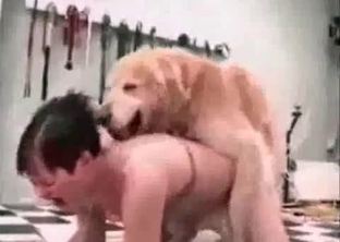 Dog aggressively drilled a juicy hole