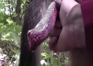 You are going to love this cock here