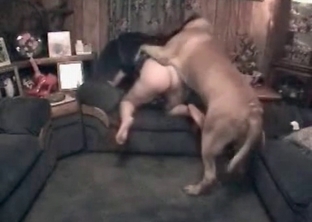 Some intense animal fucking action