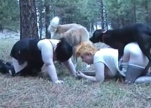 Bestial porn action with a fat hooker