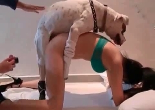 Dog drills my sweet slutty wife