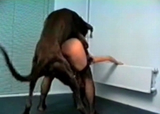 Big dick for a slutty zoophile hooker