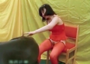 Red stockings and an awesome mutt