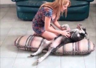 Playful doggy in awesome animality XXX