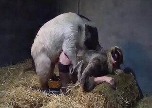 Fucking bestiality tube
