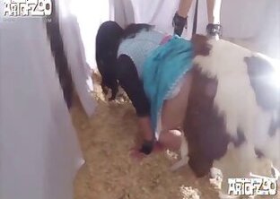 Outdoor bestiality porn